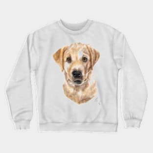 Golden Retrievee Puppy Dog Crewneck Sweatshirt